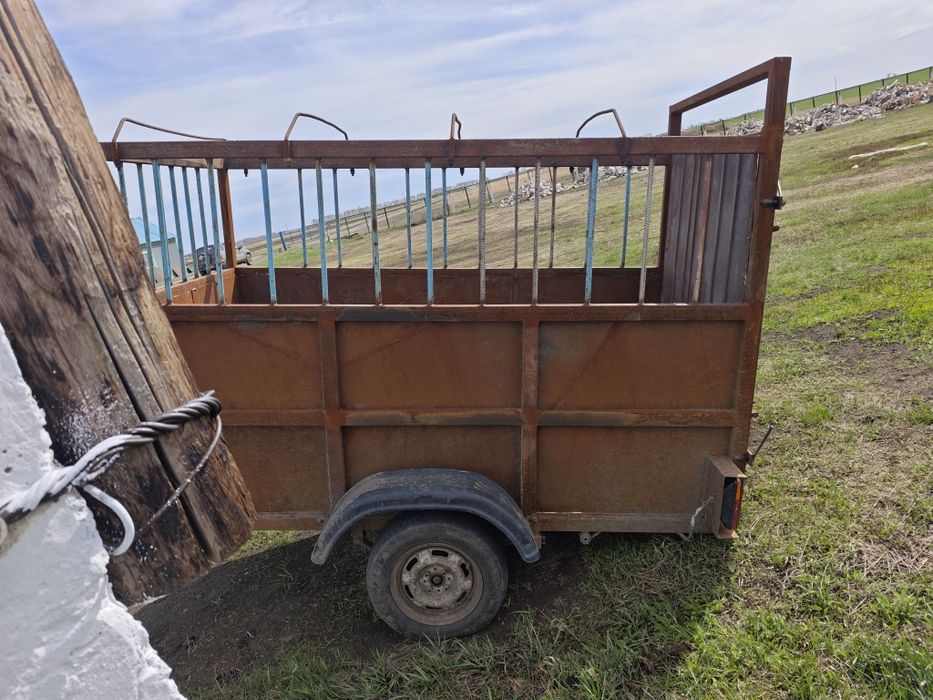 Скотовозка легковой