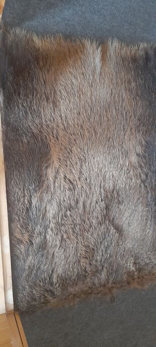 Продам шкуры кабана