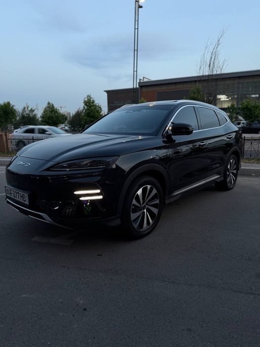 BYD chimpiyon xolati zor