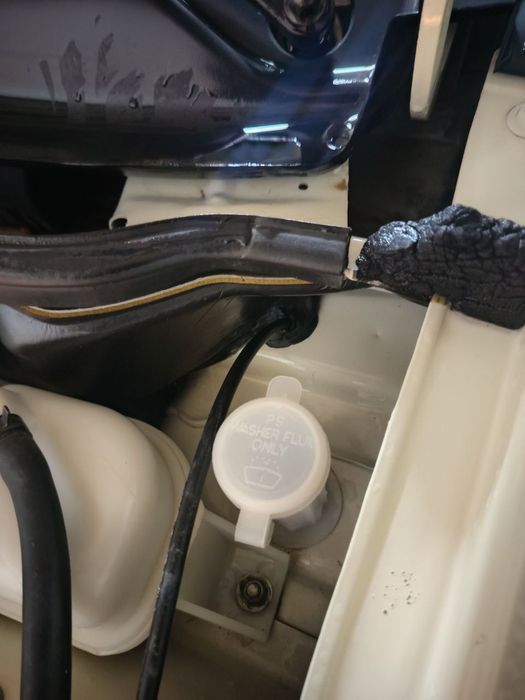 Nexia2 lyuks Kraska top tozza