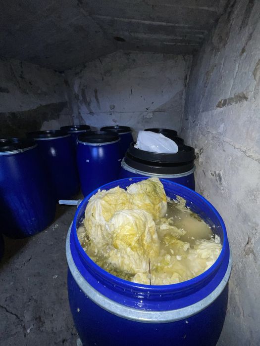 Vand varza soi “Buzau”