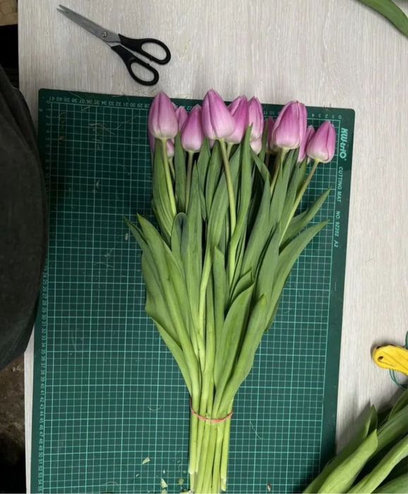 Тюльпаны в розницу