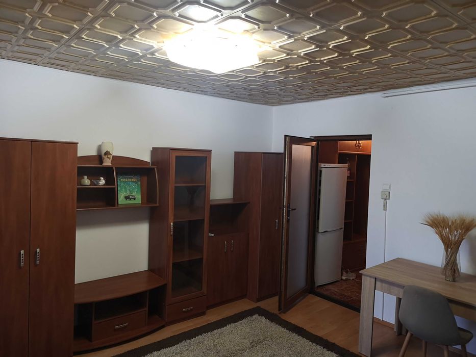 Dau in chirie garsoniera Burdea
