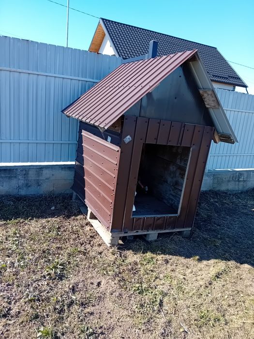 Vând coteț cățel