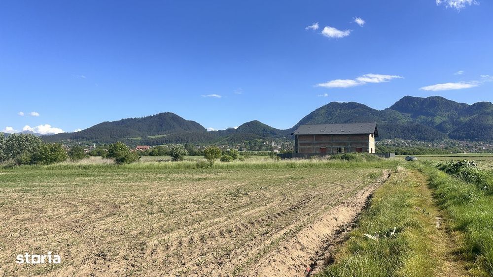 Loturi de grădină 400 mp - Săcele