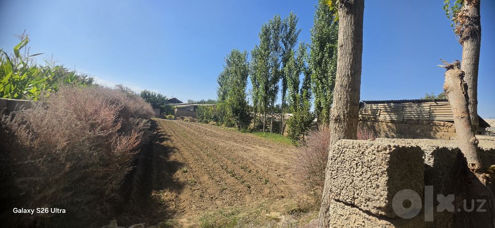 Quruq yer sotiladi