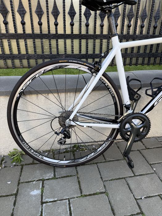 Cursiera Scott Speedster 20