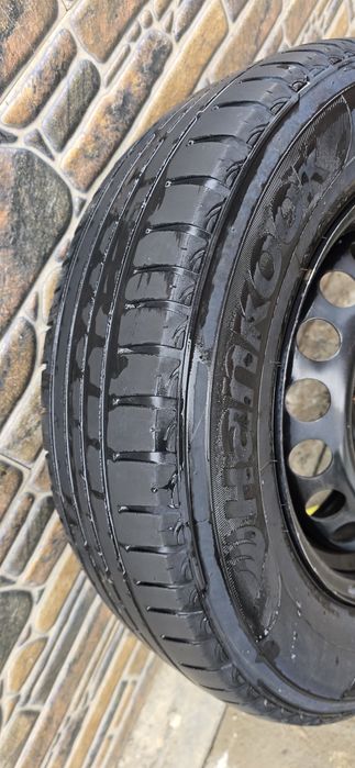 Ханкук жаздық балоны