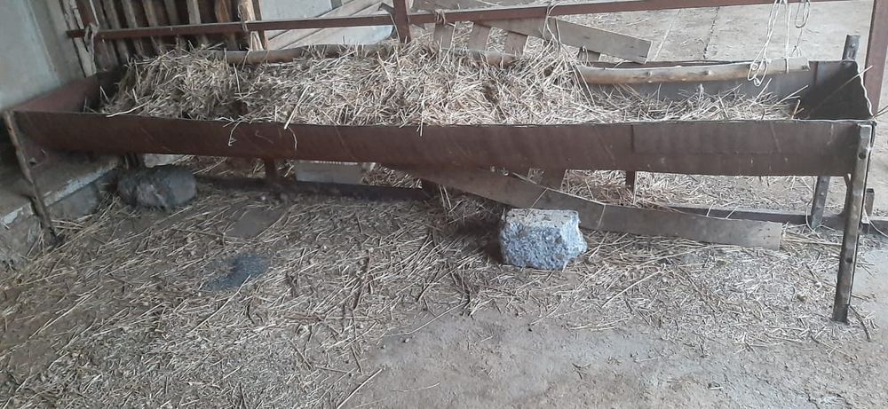 Ерлерге арналған дене және маймен жыныстық массаж