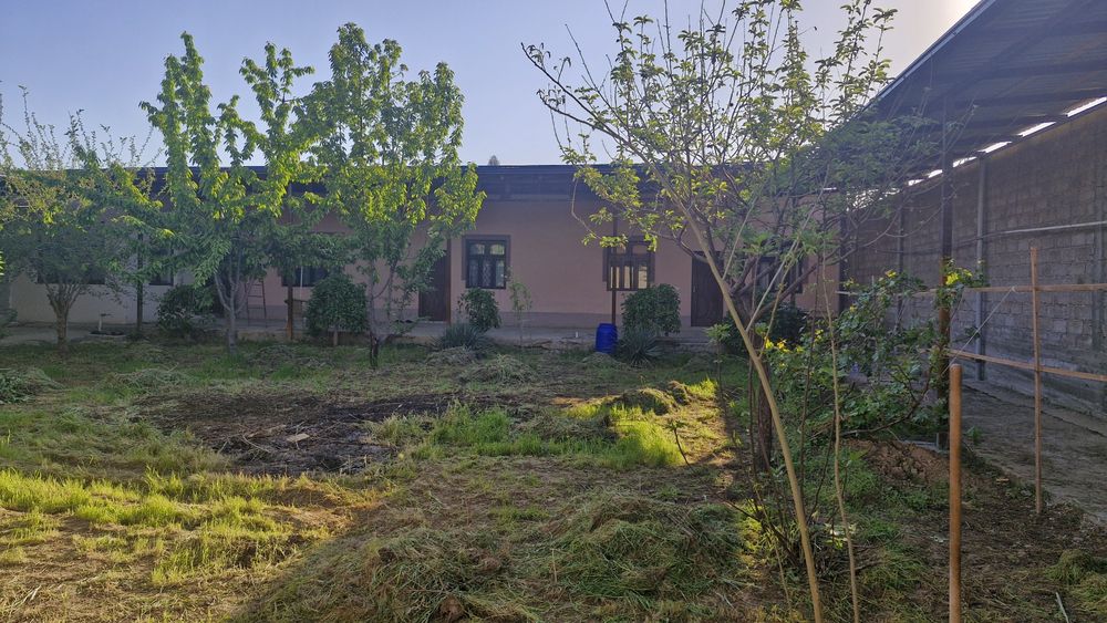 Участка сотилади 6 сотих