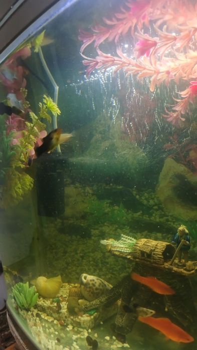 Заводская аквариум 60литр