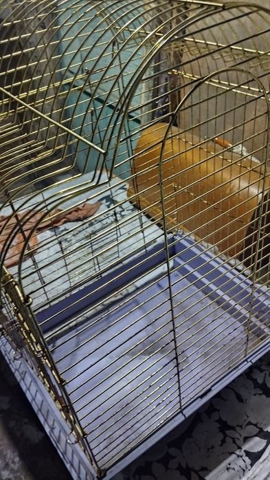 Клетка для птиц 40на50
