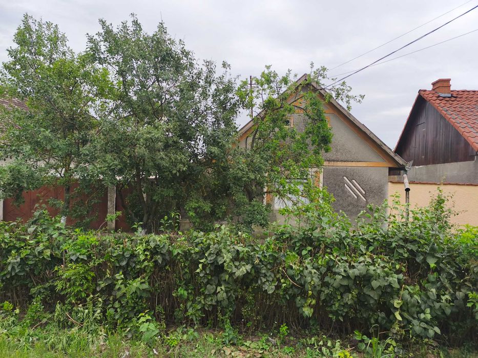 Casa de vânzare Peregu Mic, Jud Arad