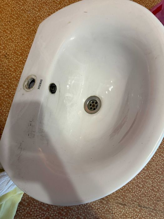 раковина тюльпан