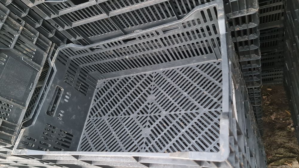 Vând lădițe plastic rigide