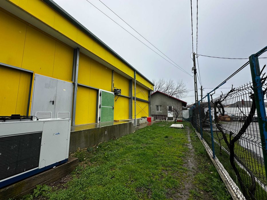 Fabrica de procesare peste si crustacee - Proprietatea Imobiliară Industrială situată în Loc. 23 August Jud. Constanta