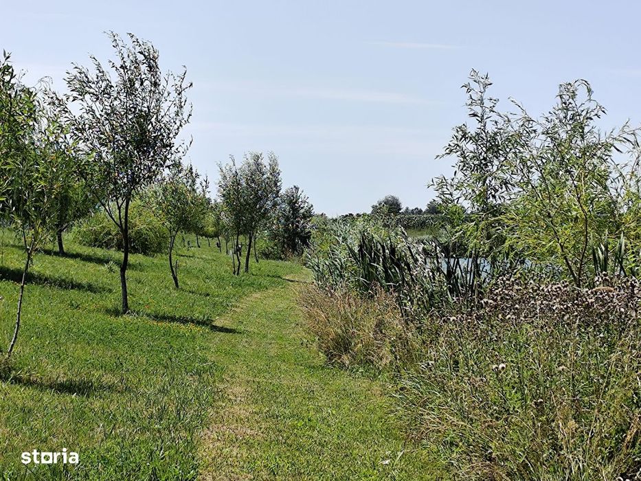 Balta de Pescuit, Cabana din Busteni, Teren 6,37 ha, langa Oradea