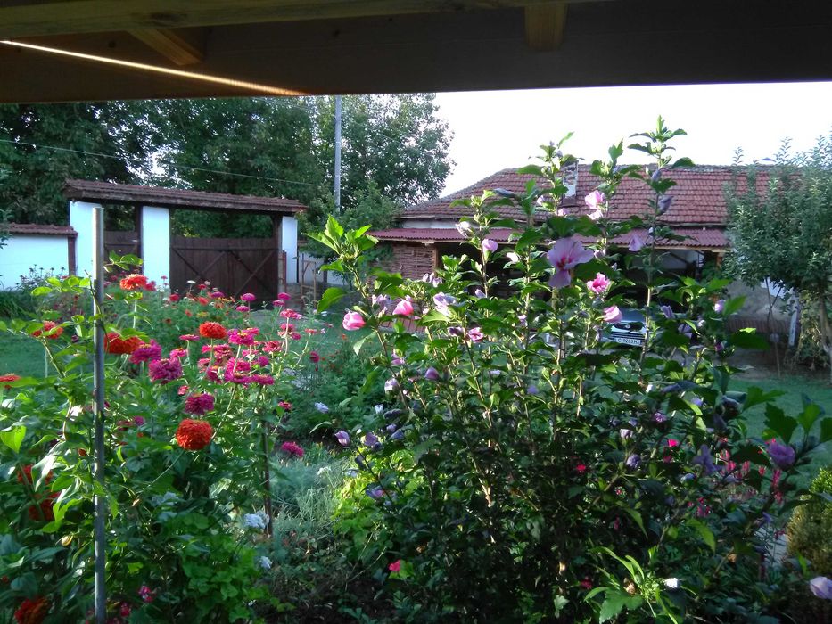 Продава се Къща в с. Дойренци, Област Ловеч - 200 кв.м за 222 €/кв.м - Снимка #6