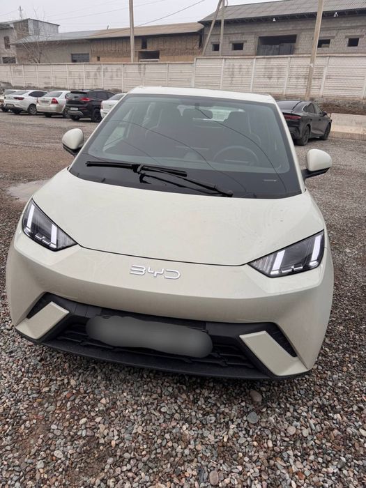 ‼️BYD SEAGUL 2025 NEW ‼️