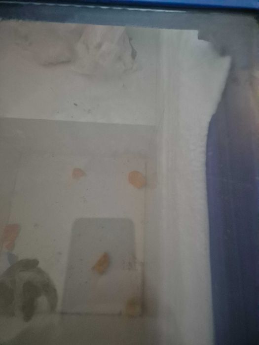 Congelator frigorific