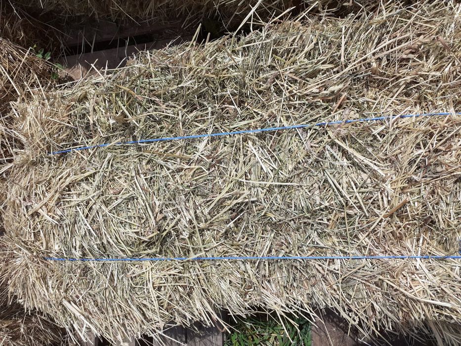 Vând baloți de fân