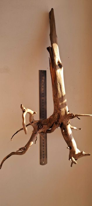 Коряга в аквариум