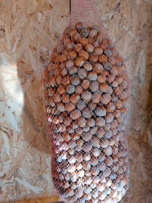 Продавам лешници на черупка