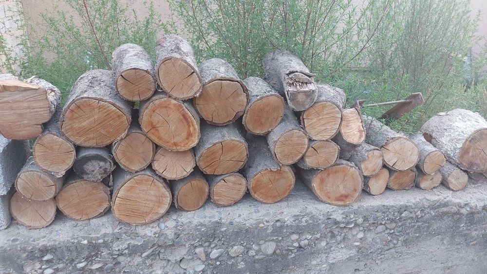 Mevali daraxtlar o'tin