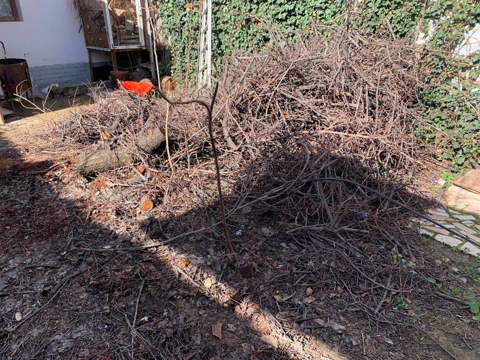 O'tin sotiladi o'rikniki