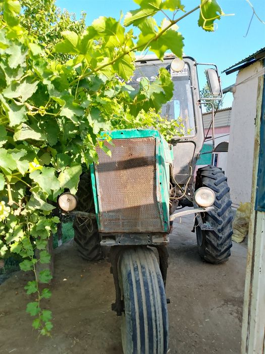 Traktor mtz80 tilichka chizel