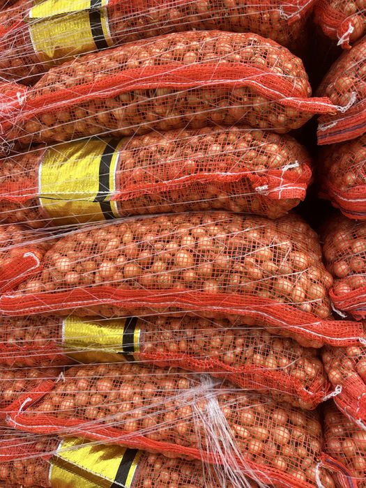 Vand arpagic stuttgarter reisen olanda