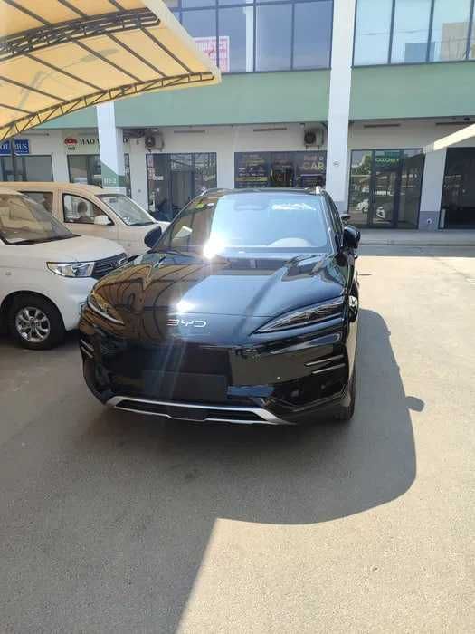 Byd chempion smart 2025