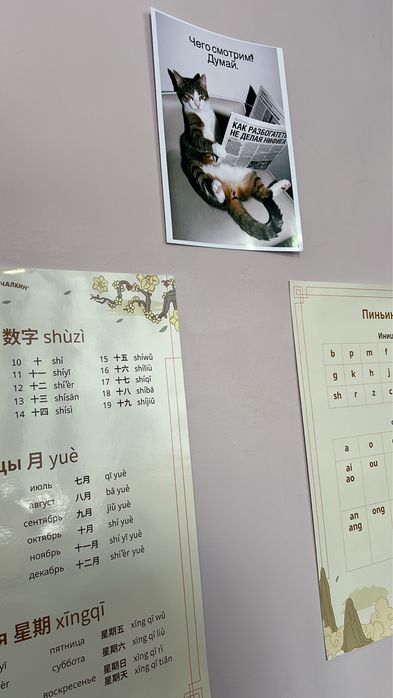 Языковая студия Mandarinika