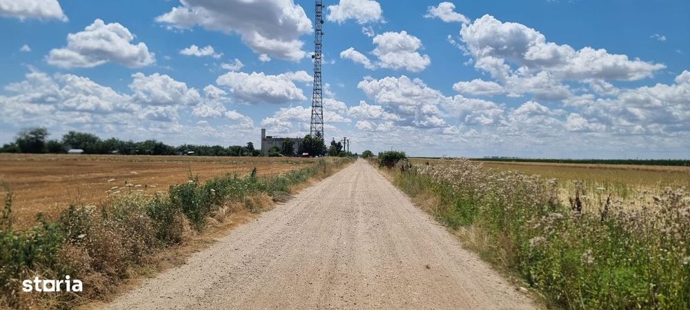 Vand 26 ha teren agricol, sat Gruiu, com Cateasca, Arges