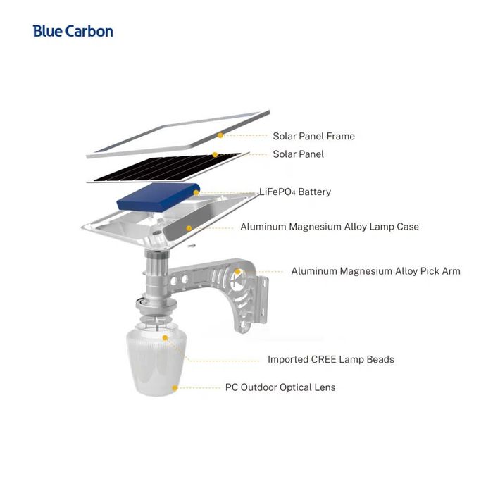 Blue carbon bilan yolingizni yorug' qiling