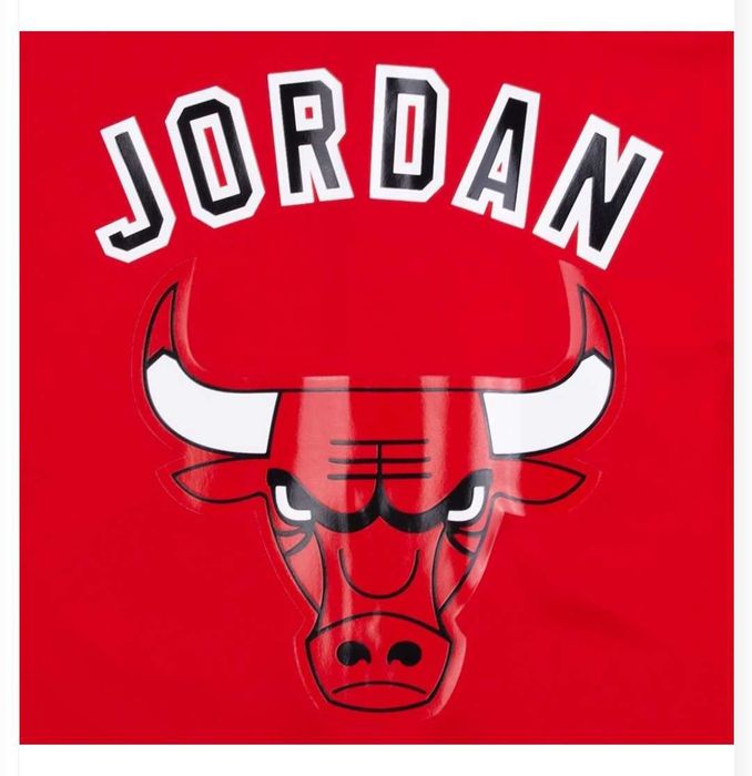 Slapi nike air jordan 47,5 si 46 bluza nba XL bulls adidas champion