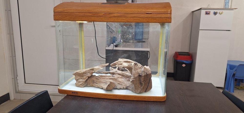 Аквариум за рибки