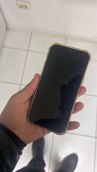 Iphone 12 Pro Max 256gb