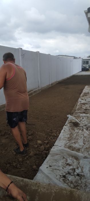 Gazonu rulou calitate 1