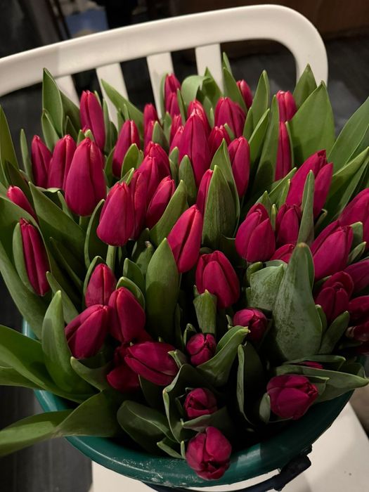 Букет 101 тюльпан новый