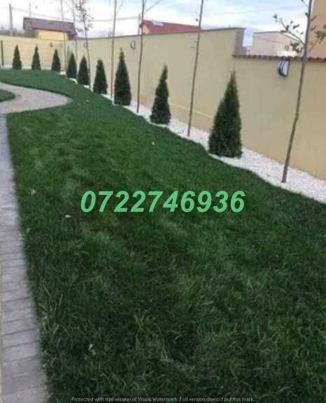Gazon Verde Natural pentru Curți și Grădini Elegante