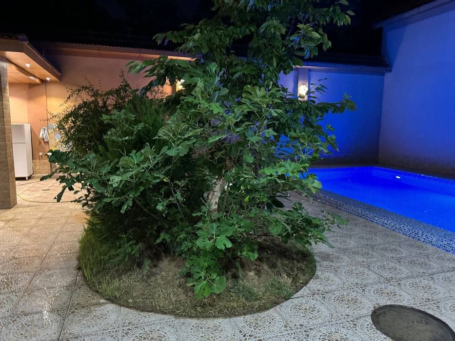 Аренда участка в Юнусабадском районе