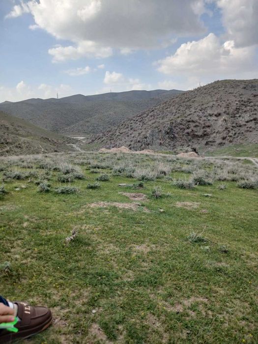 Yashil tabiatga sayohat (mayofka) xizmati