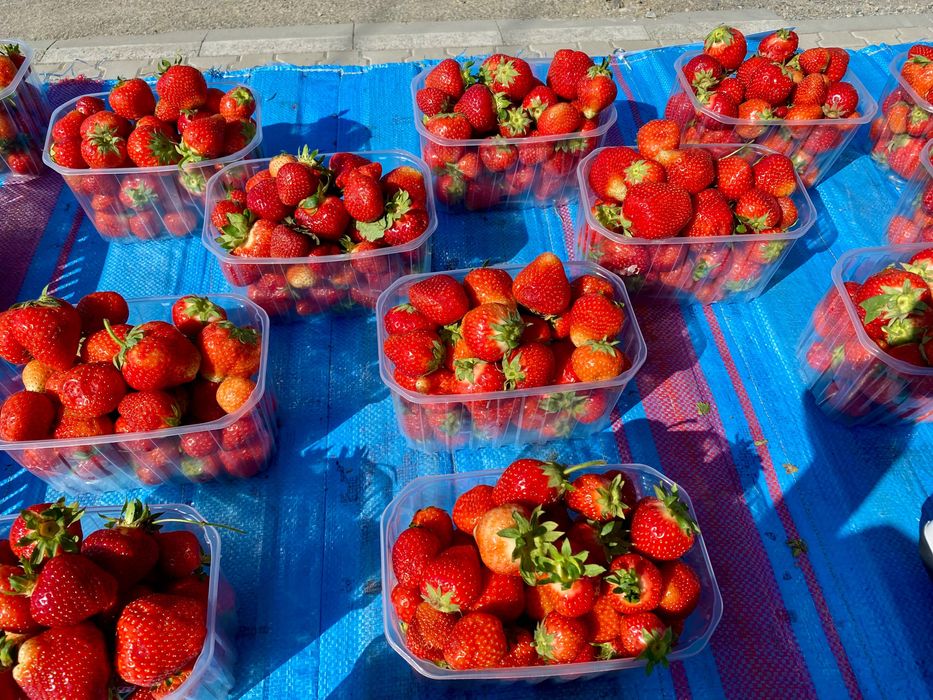 Vand capsuni proaspeti mari si dulci  18lei/kg