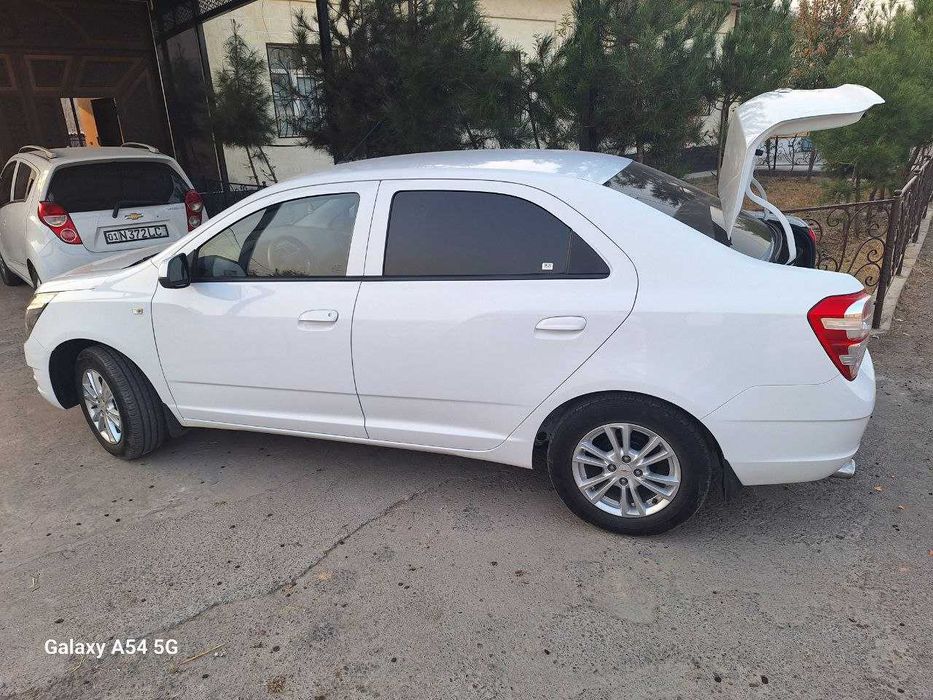 Срочна кобалт 2025