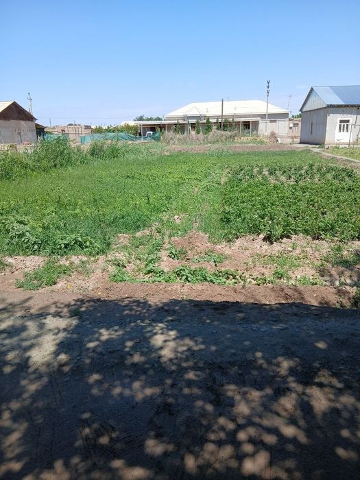 Беговотда Жой урни сотилади