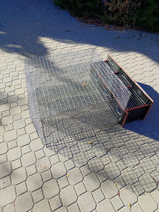 Клетки универсальные