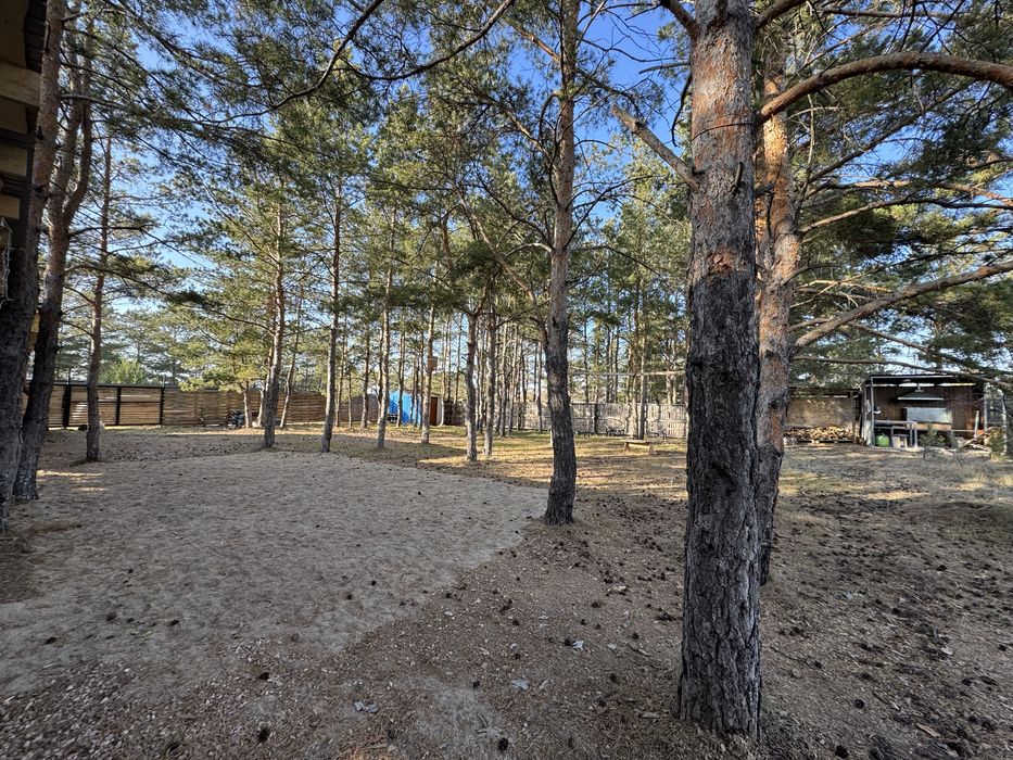 Лесной - зона отдыха