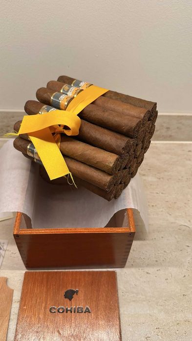 Cohiba  Robustos Cuba