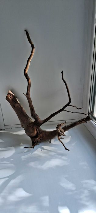 Коряги для аквариума